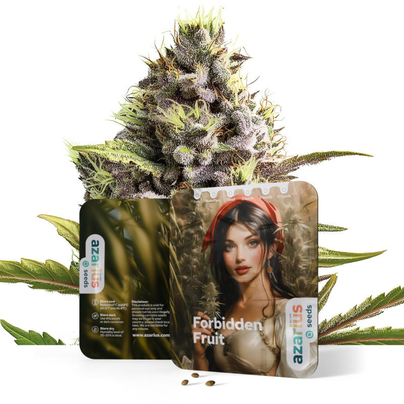 Forbidden Fruit Forbidden Fruit