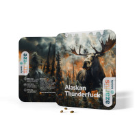 Alaskan Thunderfuck Auto