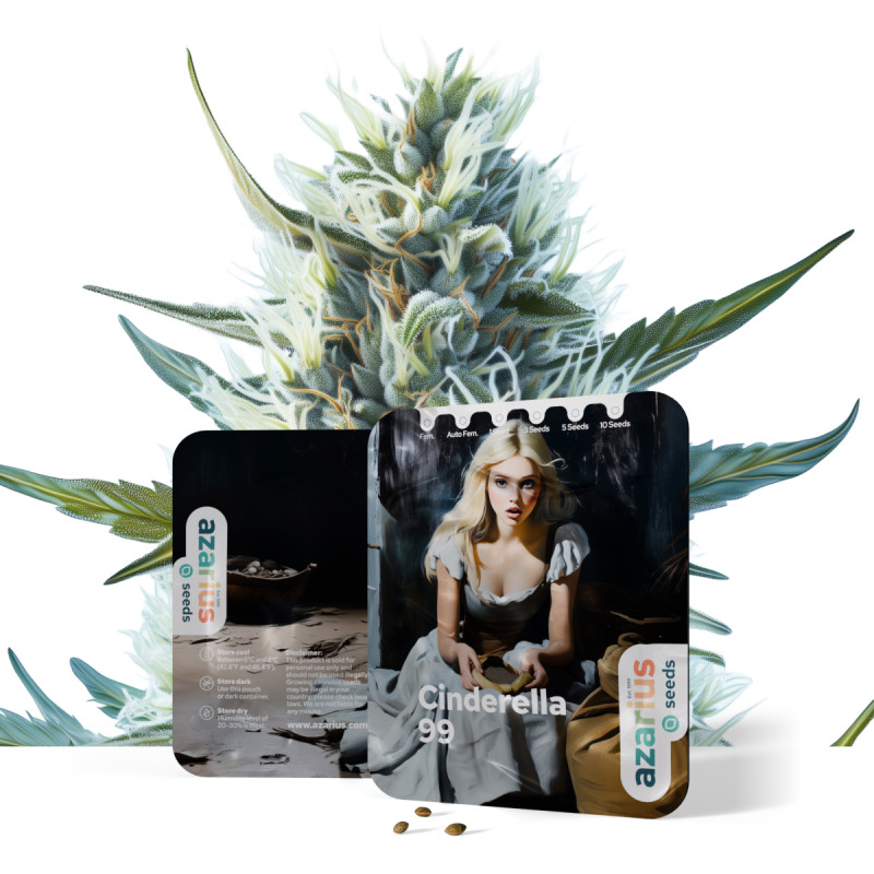 Cinderella 99 Auto Cinderella 99 Auto