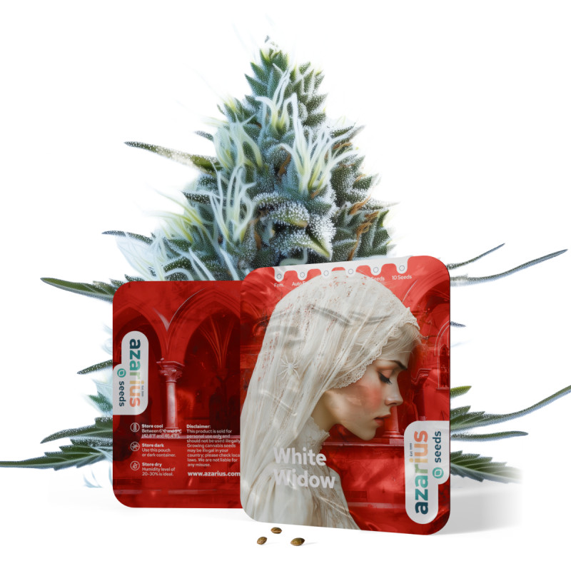 White Widow Auto White Widow Auto