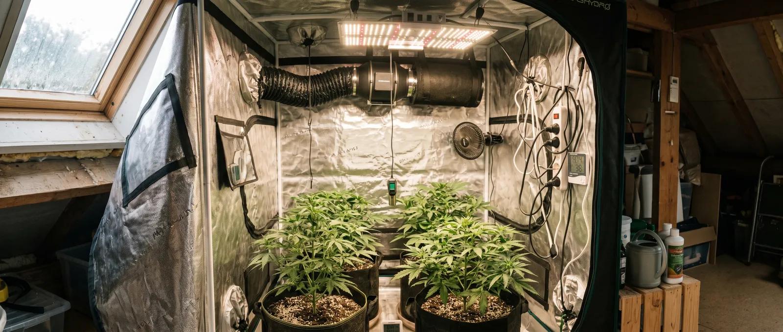 AZARIUS · Before you start: what a grow tent actually does