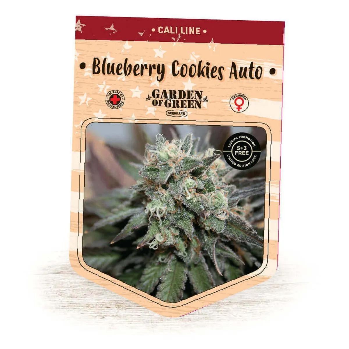 Blueberry Cookies