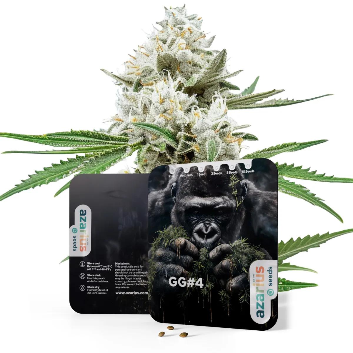 GG4