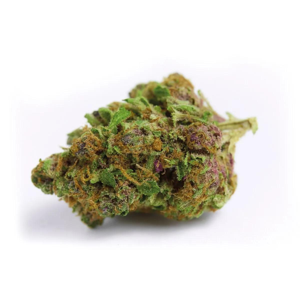 Red Banana Berry XL