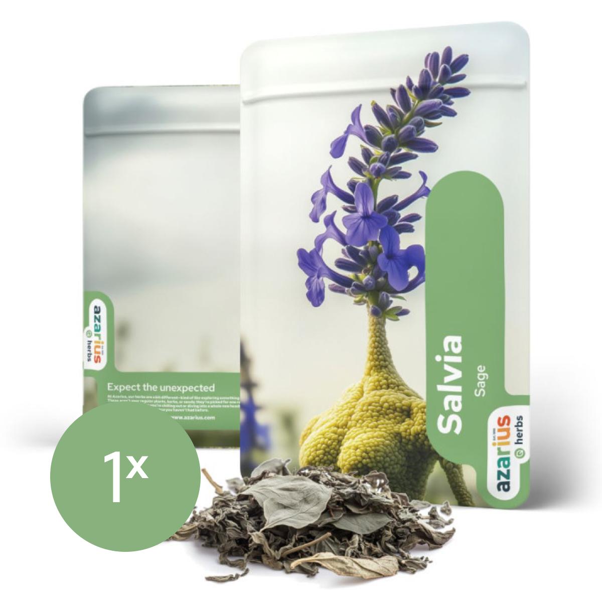 Salvia Divinorum