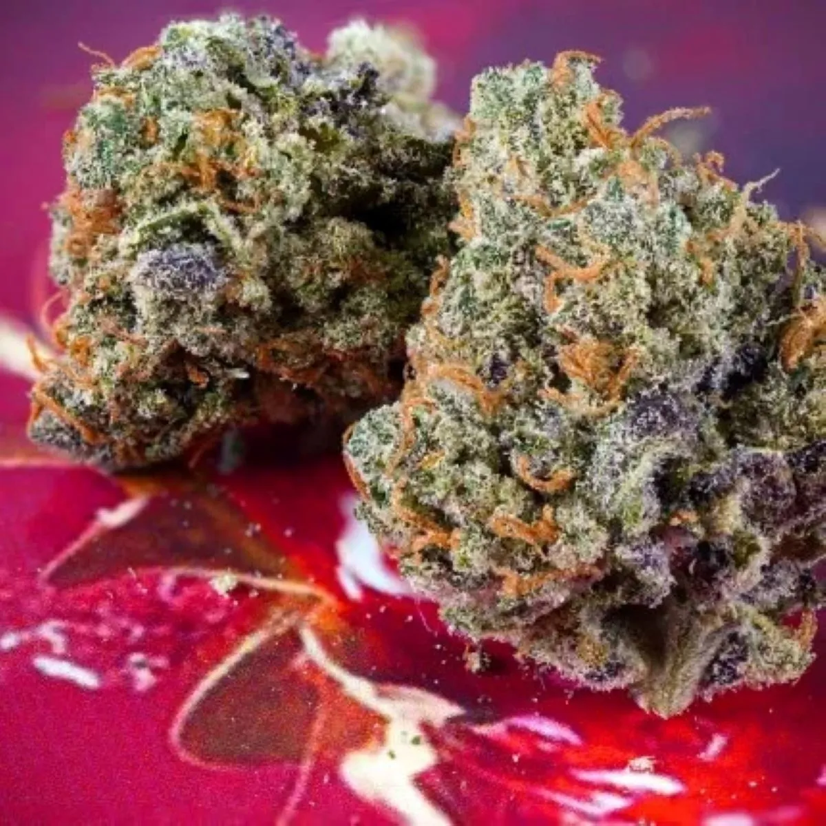 Auto Strawberry Soda — image 3