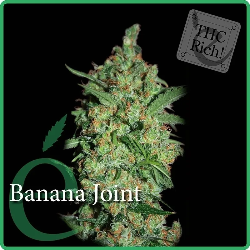 Banana Joint — image 2