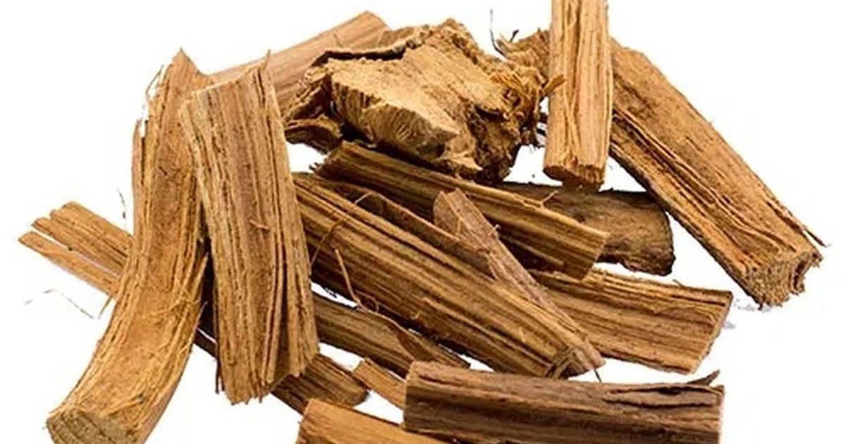 Banisteriopsis caapi Red (Caapi Rojo) 50g Leaves