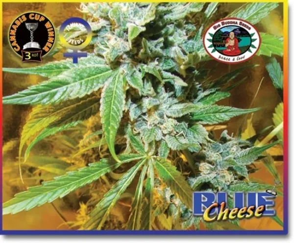 Blue Cheese — image 4