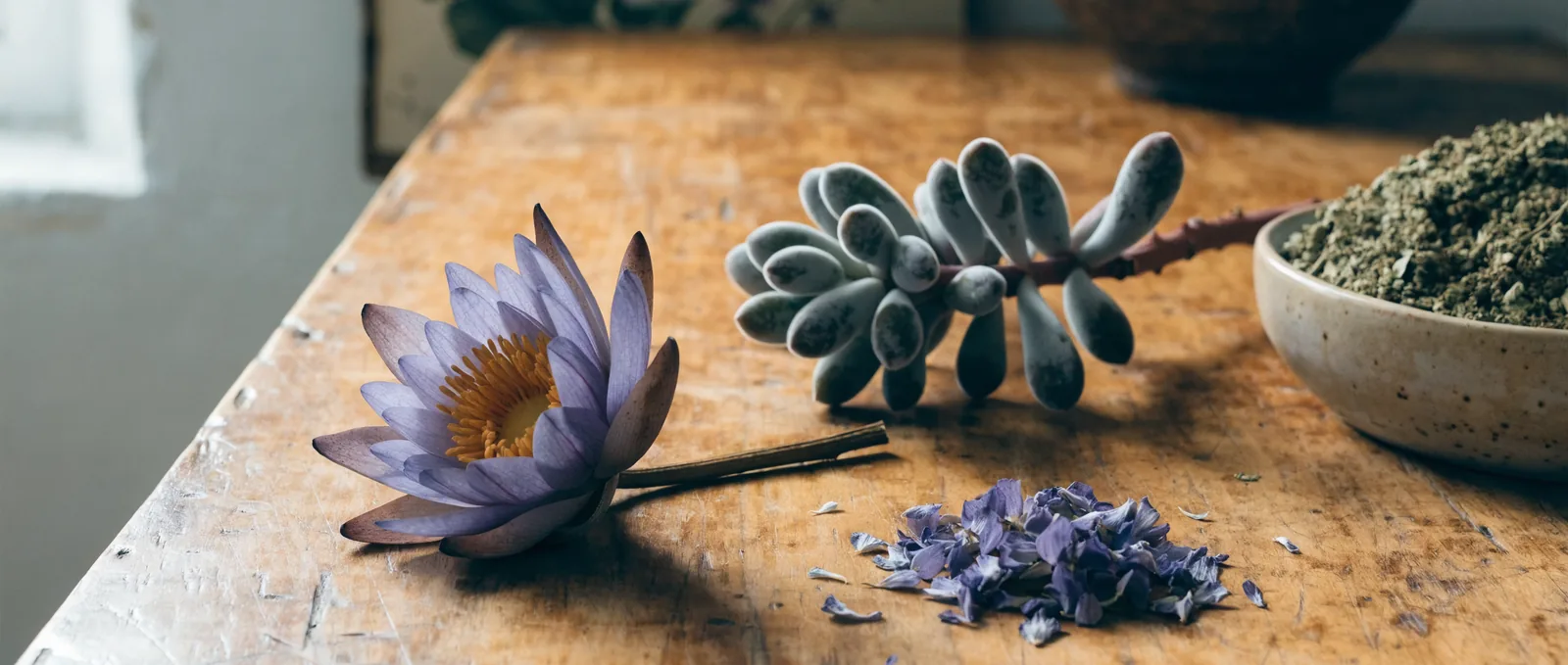 Blue Lotus vs Kanna: Effects & Safety