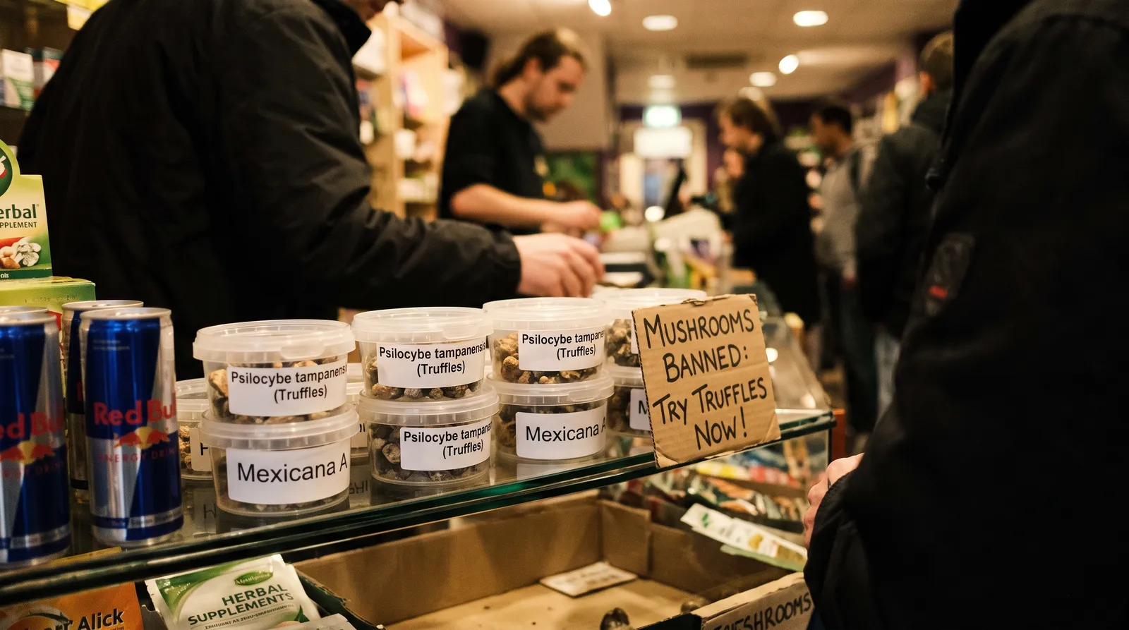AZARIUS · 2008: The Mushroom Ban and the Industry's Pivot to Truffles