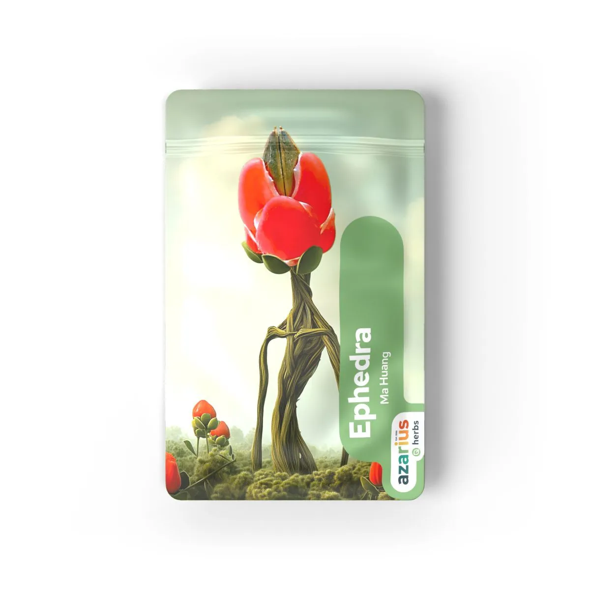 large zz plant Black Raven Zz – Botanical Dwellings main image 0