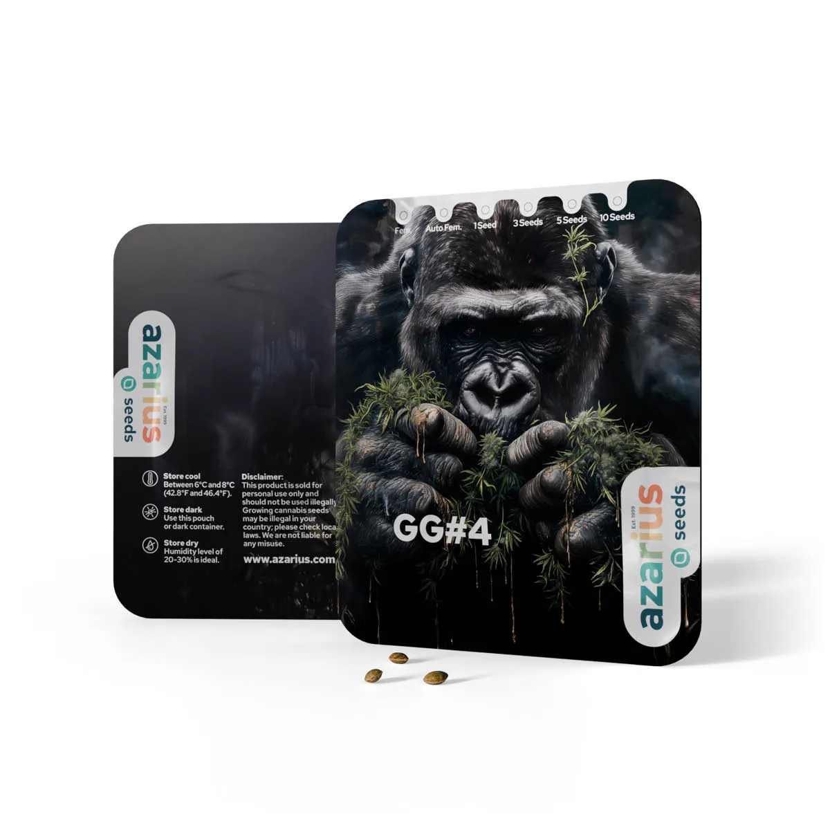 GG4 — image 3