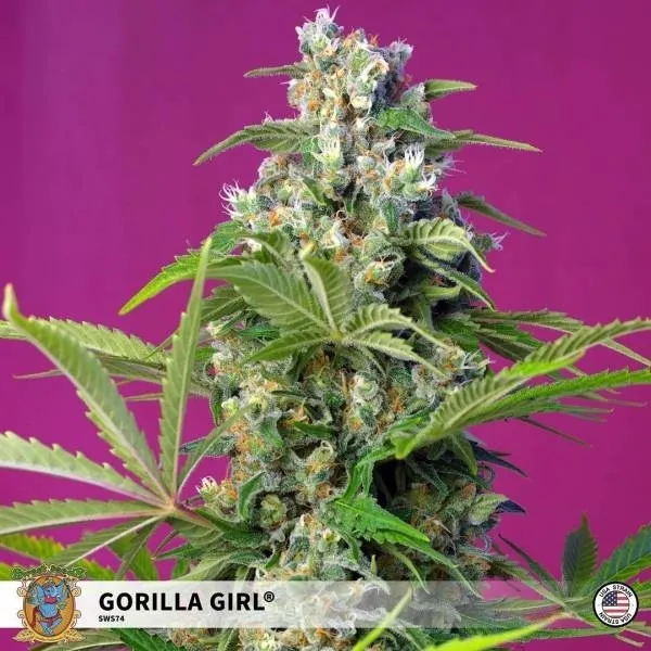 Gorilla Girl