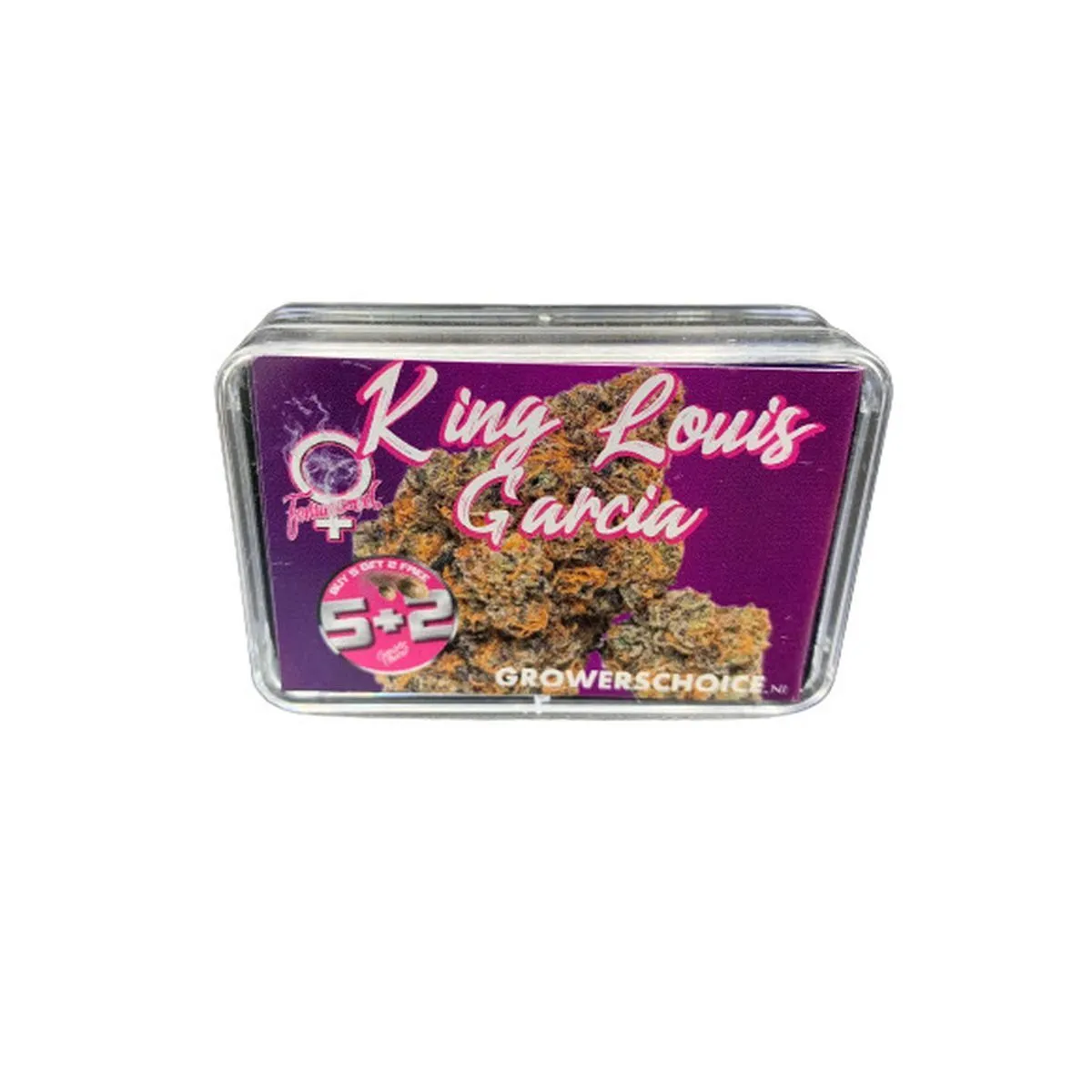 King Louis Garcia — image 2