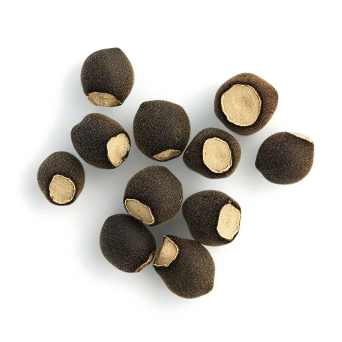 Peyote seeds — image 2