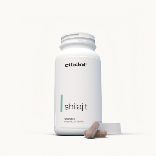 Shilajit — imagen 2