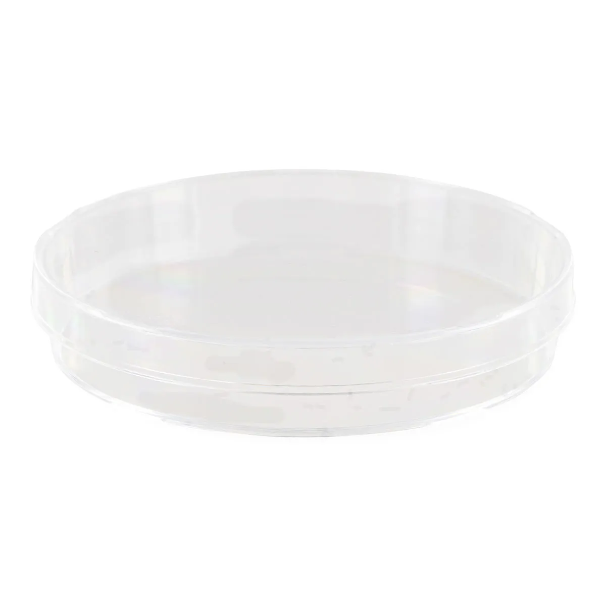 20 Plastic Petri Dish Sterile