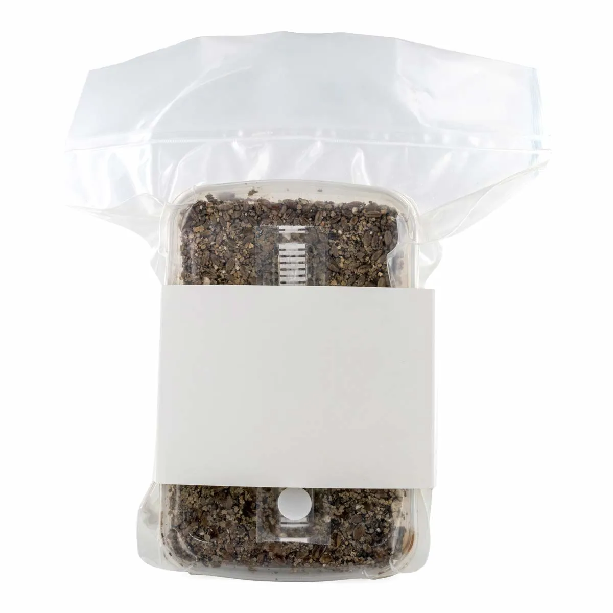 Sterilised Substrate Kit — image 3
