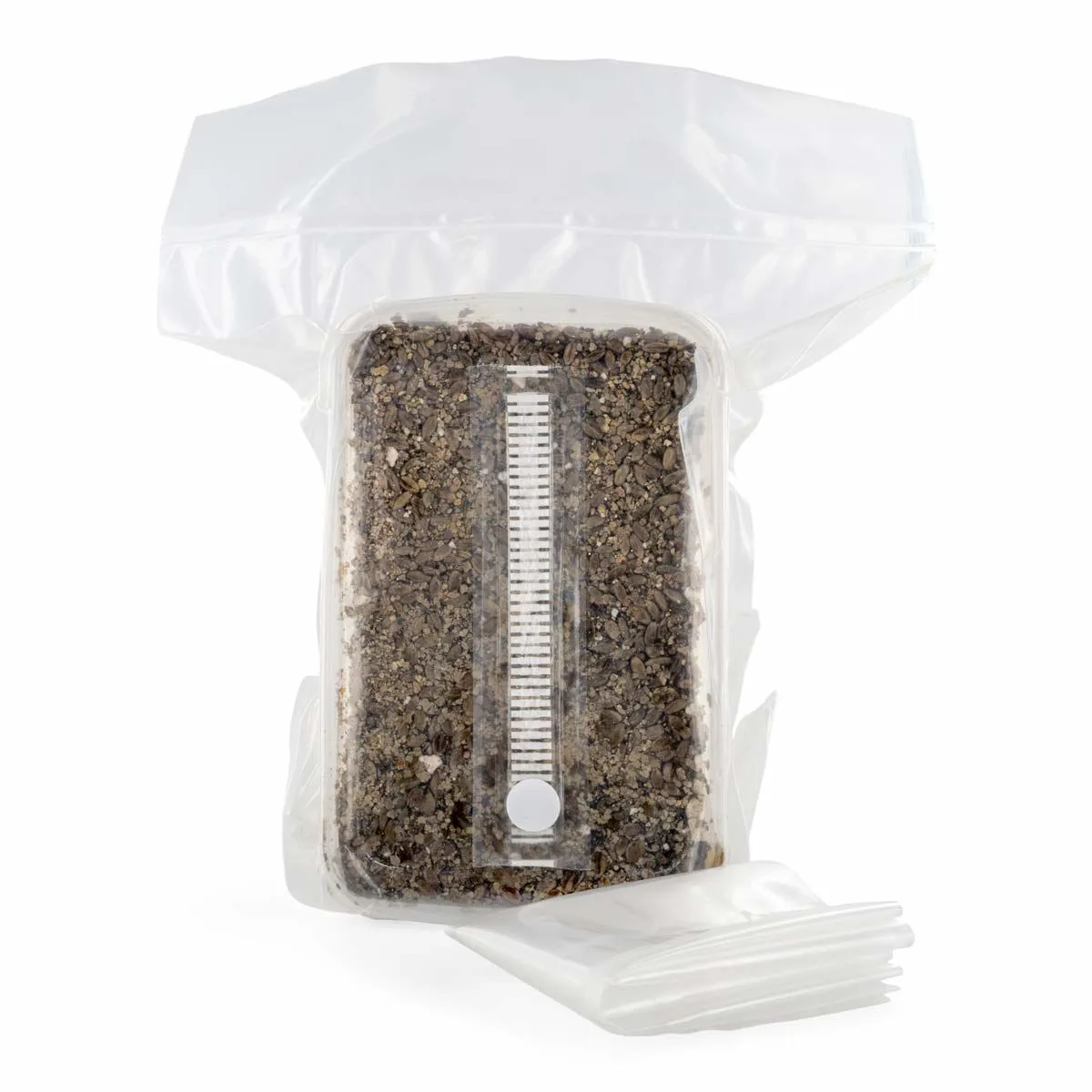 Sterilised Substrate Kit — image 4