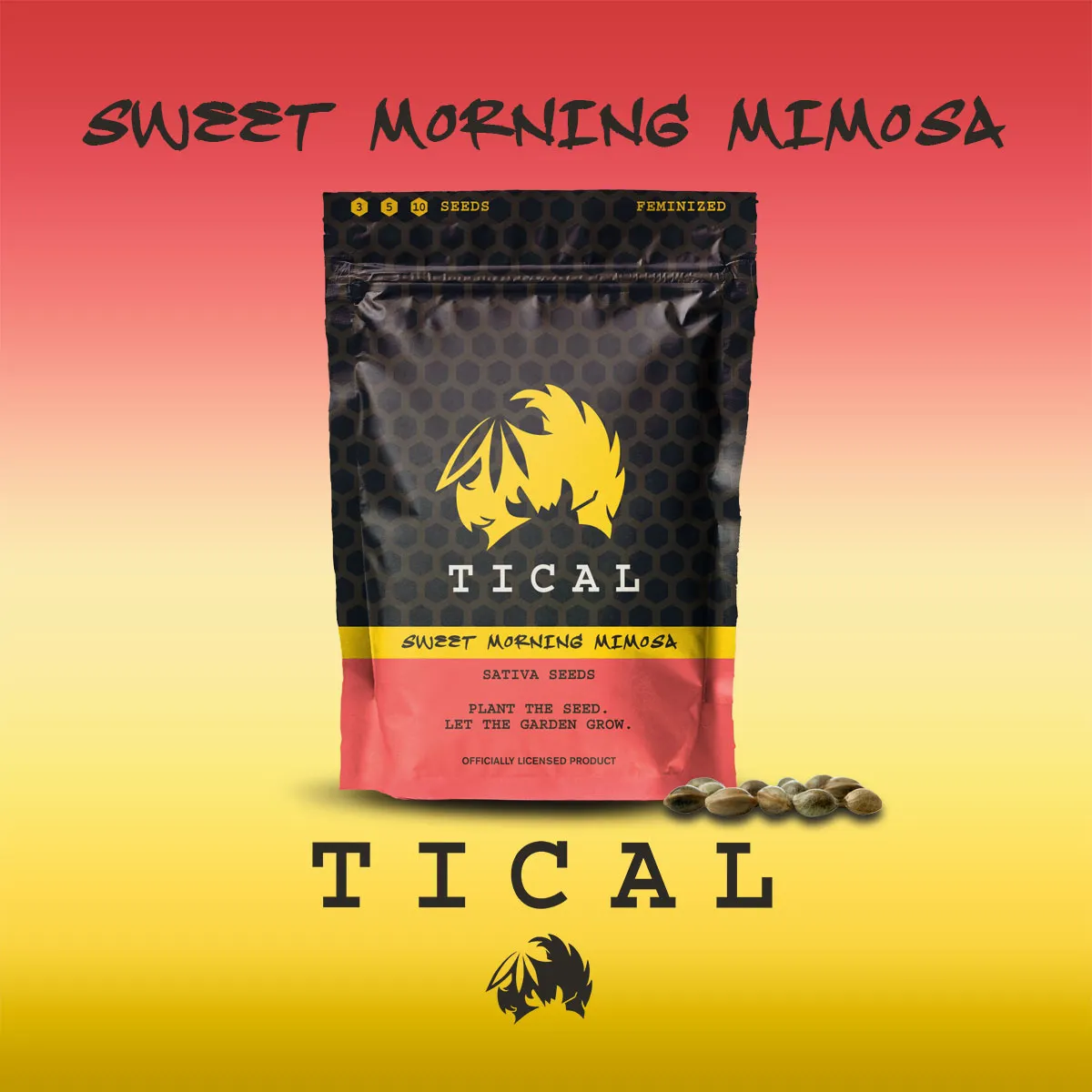 Sweet Morning Mimosa (TICAL) — image 2
