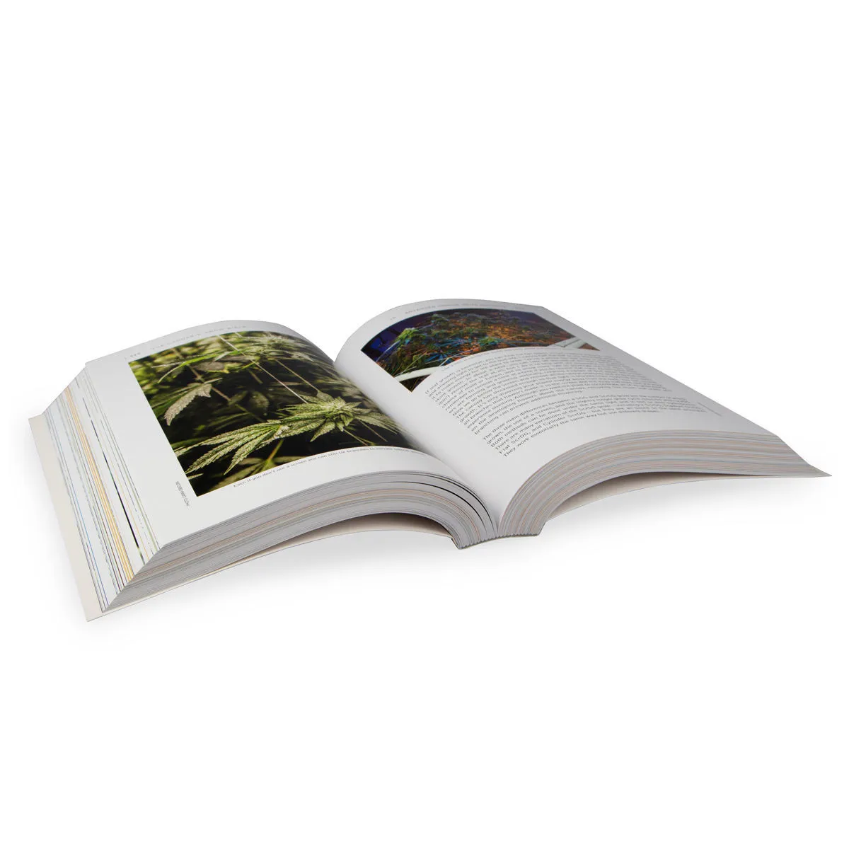 The Cannabis Grow Bible — image 3