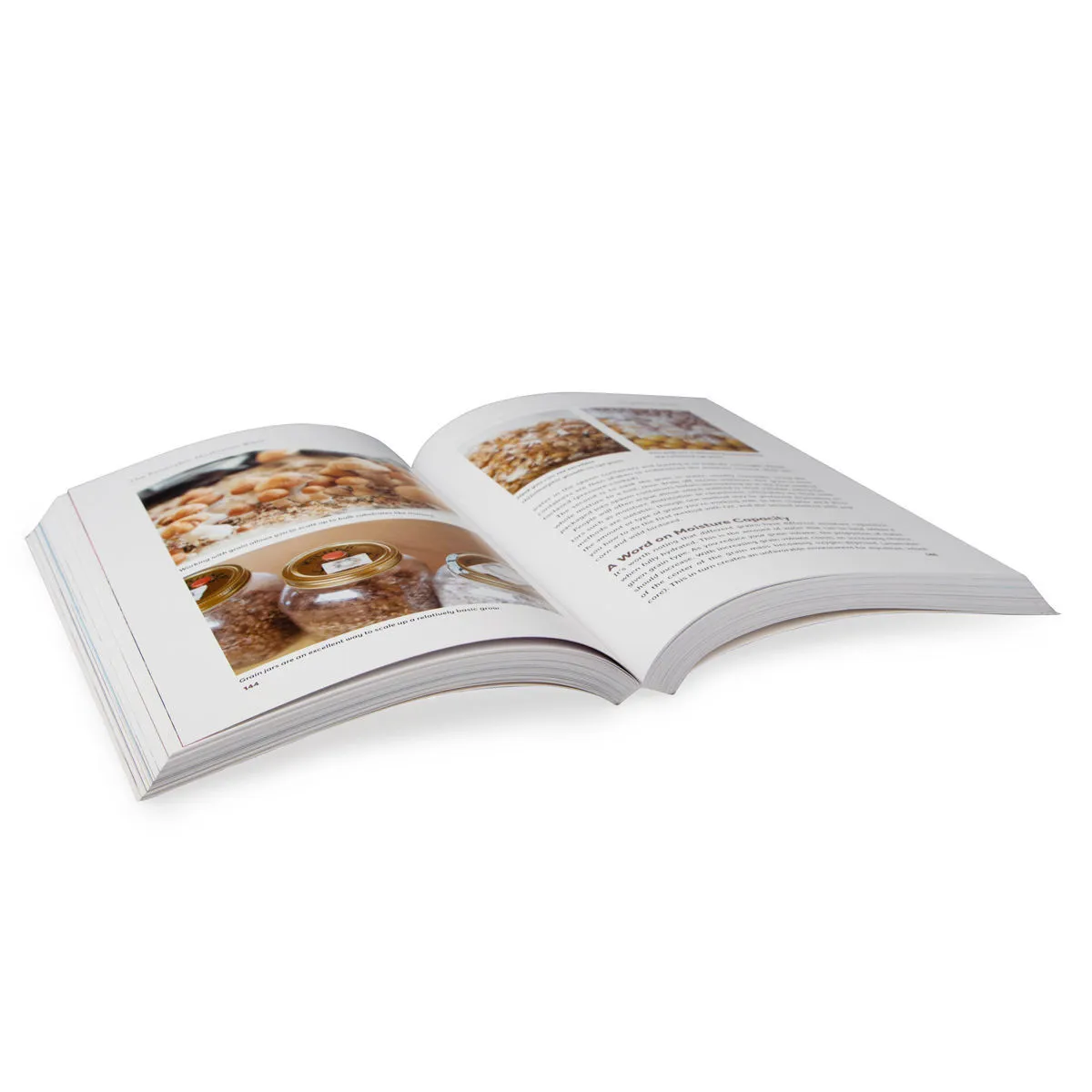 The Psilocybin Mushroom Bible — image 2