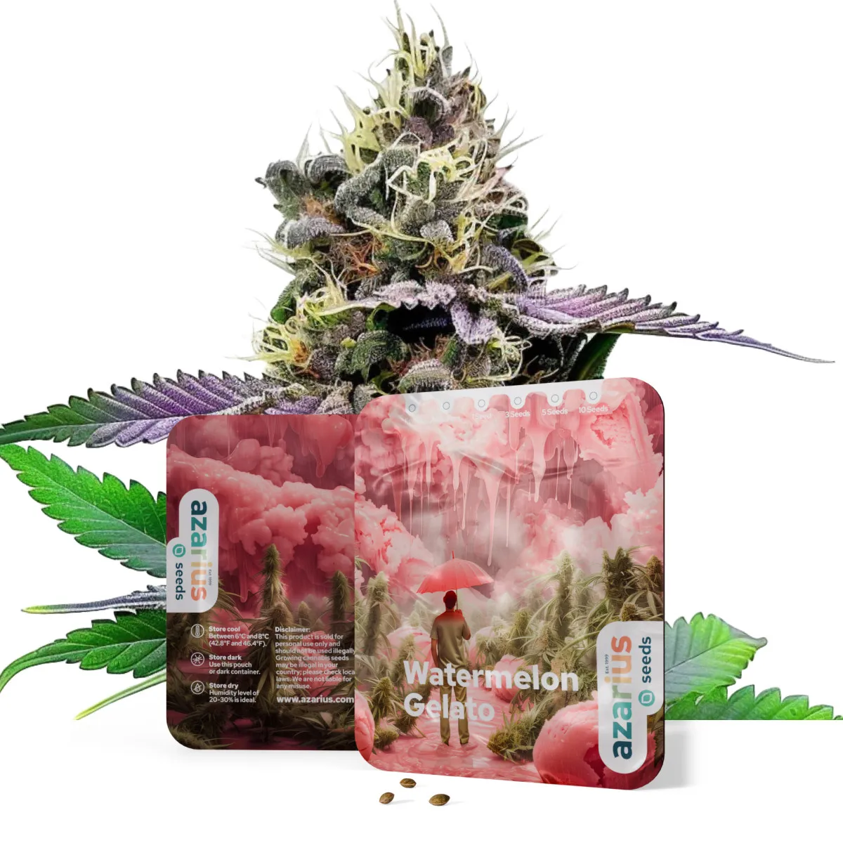 Watermelon