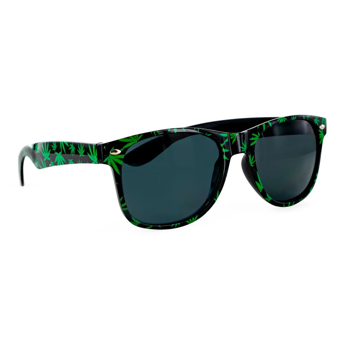 Wayfarer Sunglasses — image 4