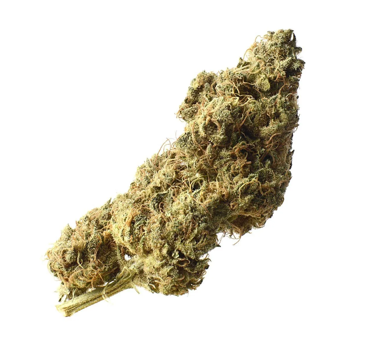 White Choco Haze — image 2